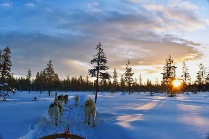 Finnisch Lappland – erleben Sie die Magie des Nordens